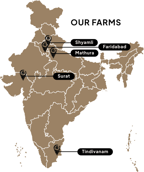 haldhaara farms locations map