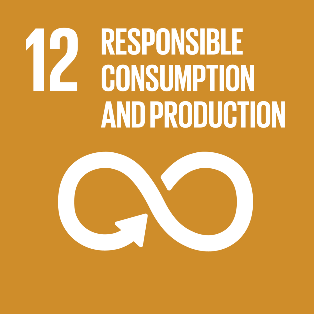 haldhaara support SDG icon 12 responsible consumption and production