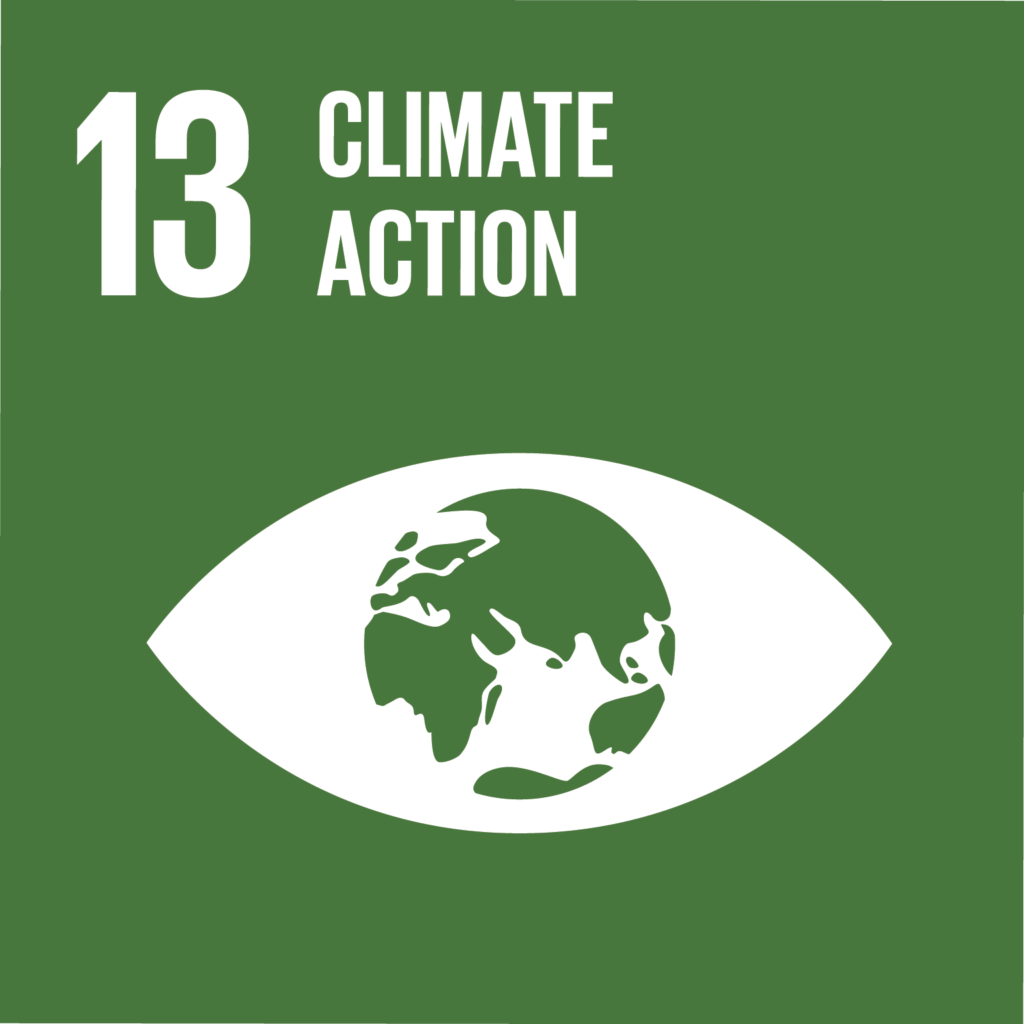 haldhaara support SDG icon 13 climate action